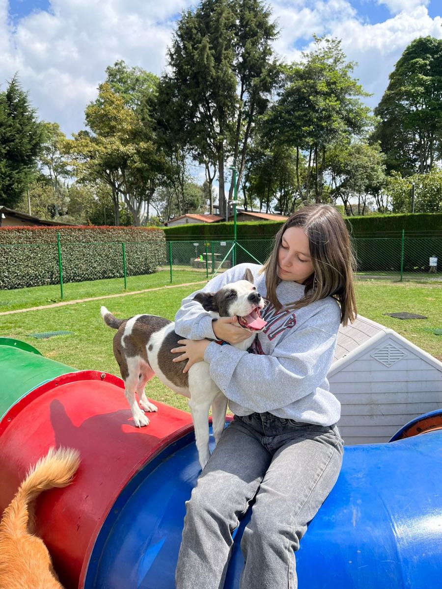 Una cuidadora abraza a un perro blanco y café sentada sobre los túneles de juego del parque
